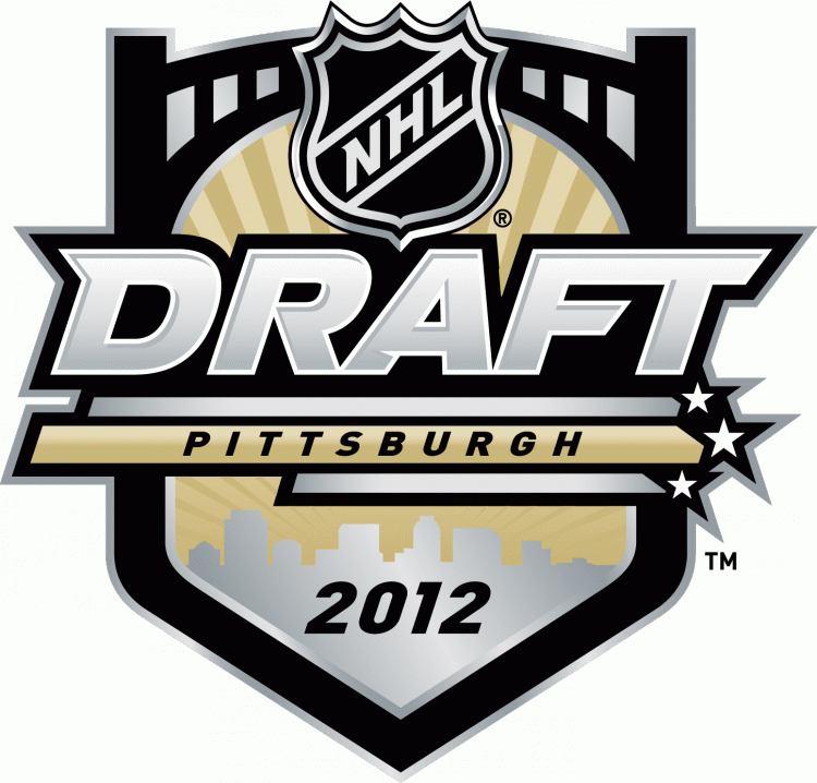 NHL Draft 2012 Primary Logo iron on transfers for clothing